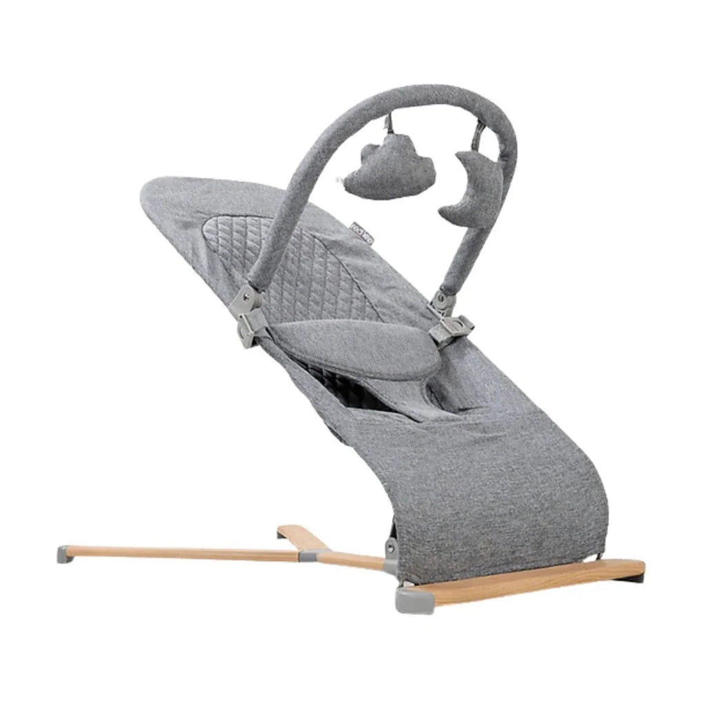Red Kite Baya Baby Bouncer - Grey - Baby&More
