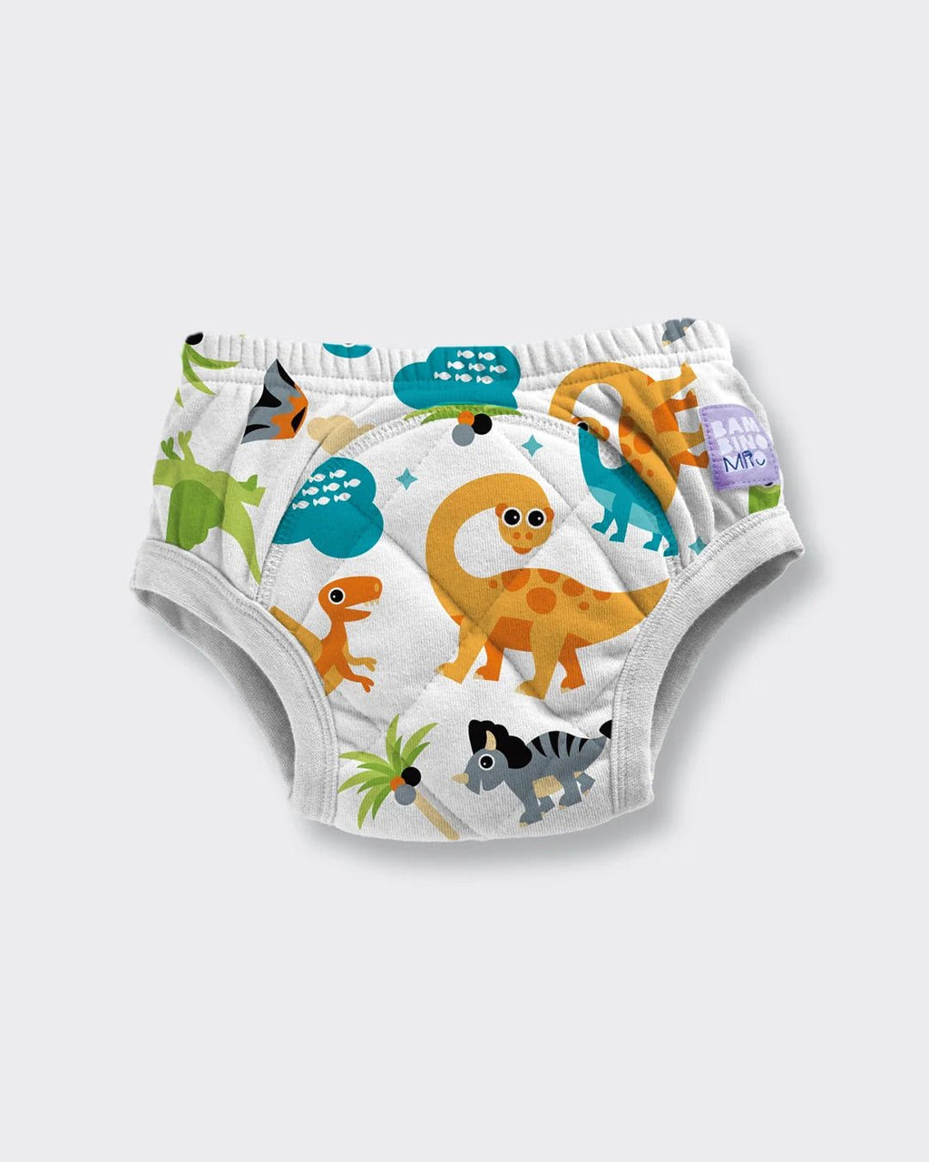 Reusable Potty Training Pants - Baby&More