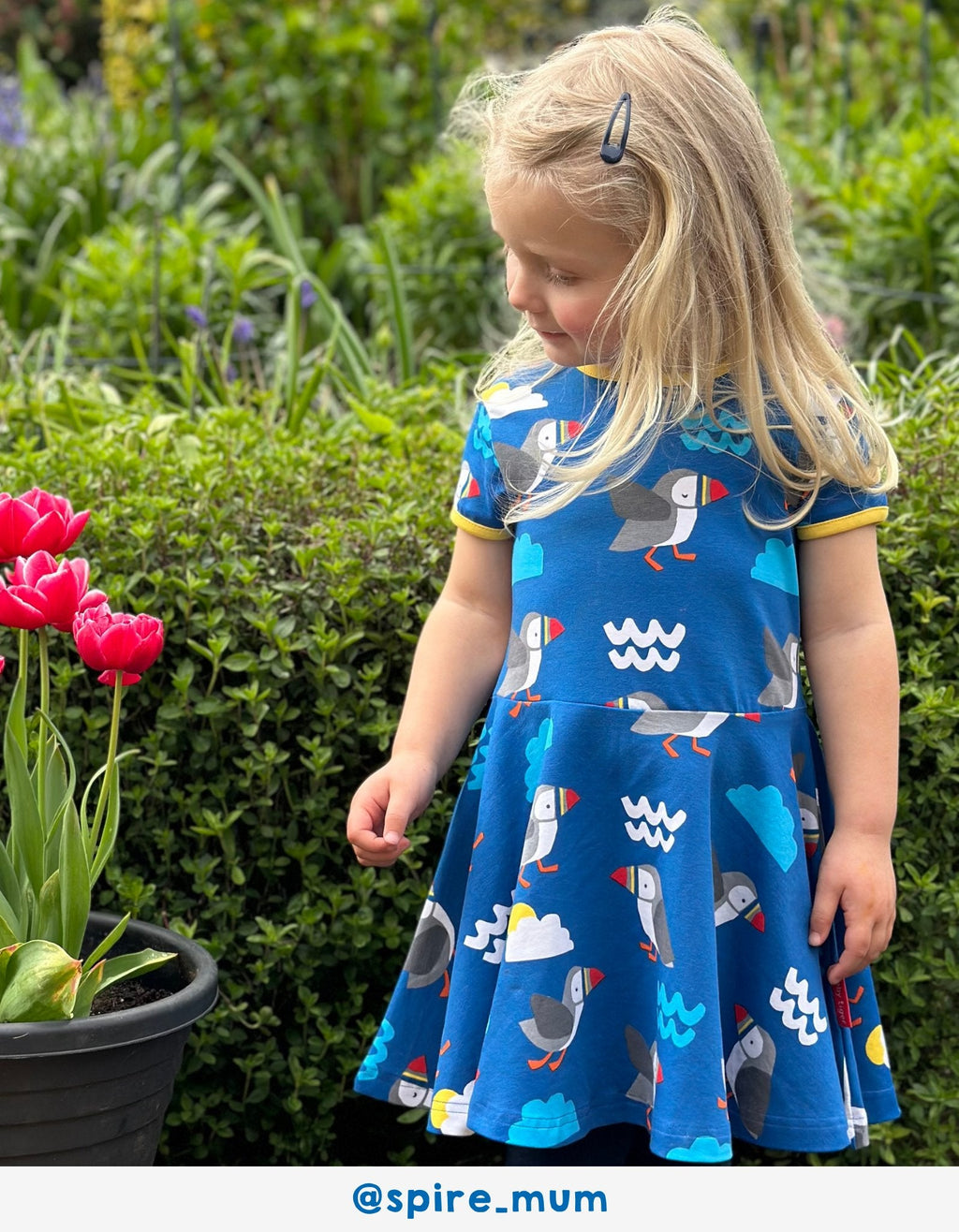 Toby Tiger Organic Skater Dress - Puffin Print