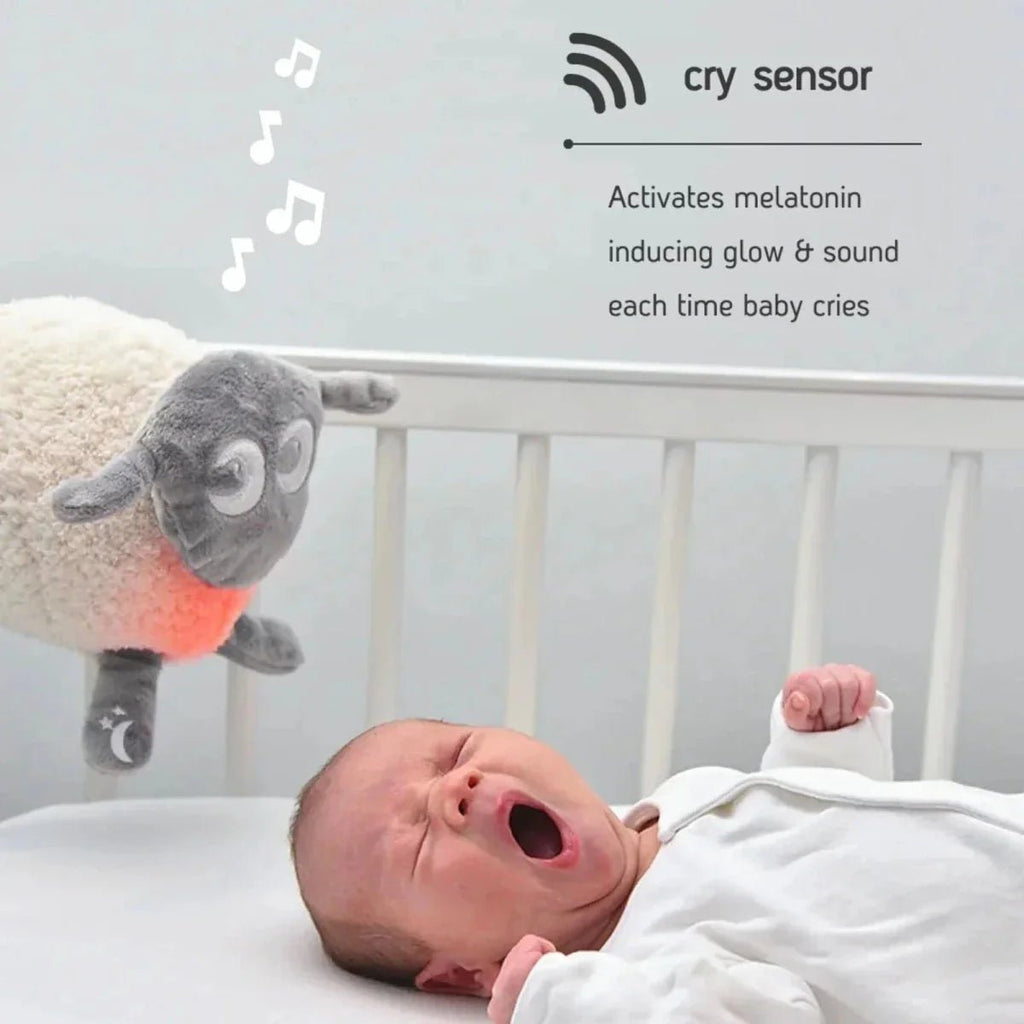 Sweet Dreamers Ewan Deluxe - Grey - Baby&More