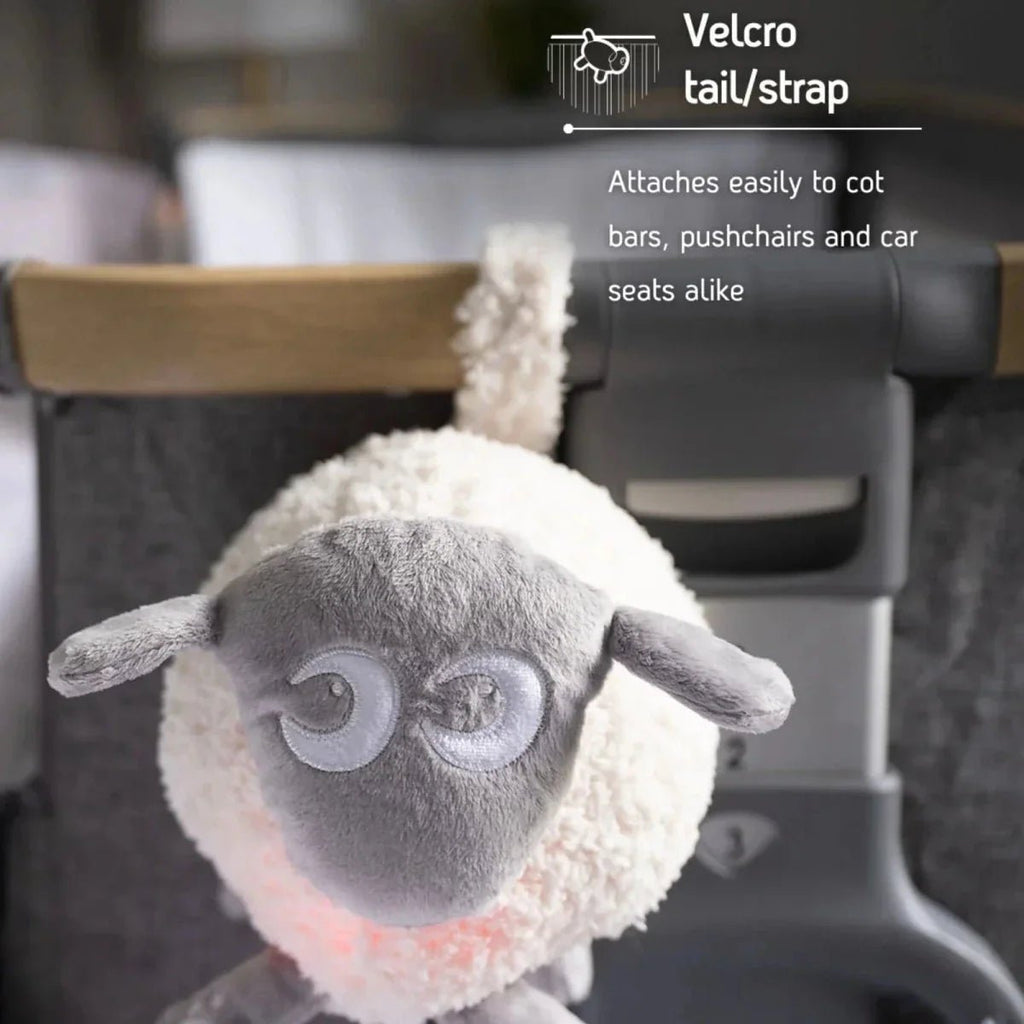 Sweet Dreamers Ewan Deluxe - Grey - Baby&More
