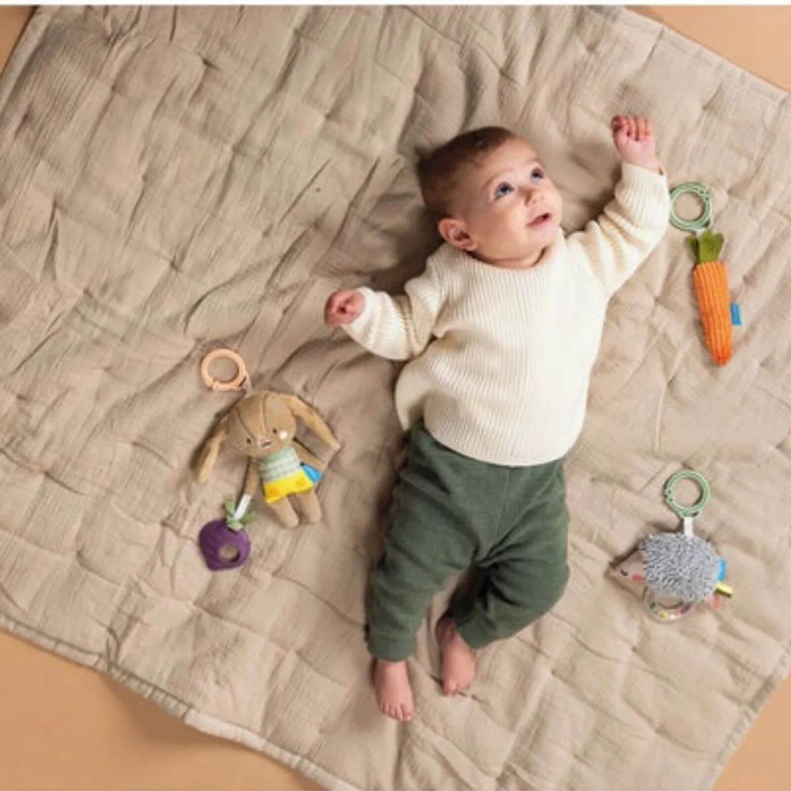 Taf Toys Activity Toys Kit - Hedgehog, Rabbit, Carrot - Baby&More