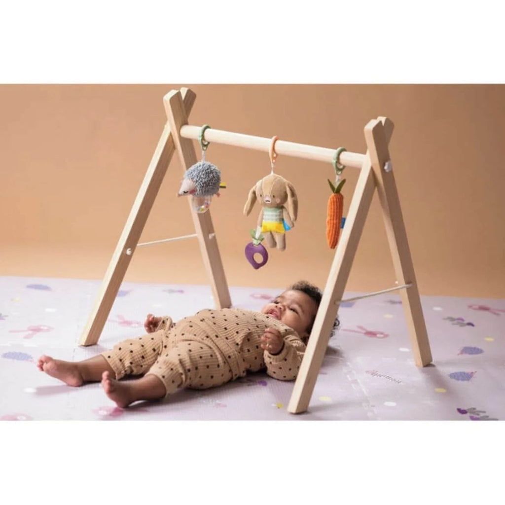 Taf Toys Activity Toys Kit - Hedgehog, Rabbit, Carrot - Baby&More