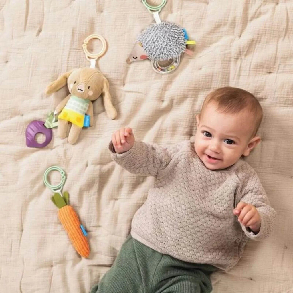 Taf Toys Activity Toys Kit - Hedgehog, Rabbit, Carrot - Baby&More