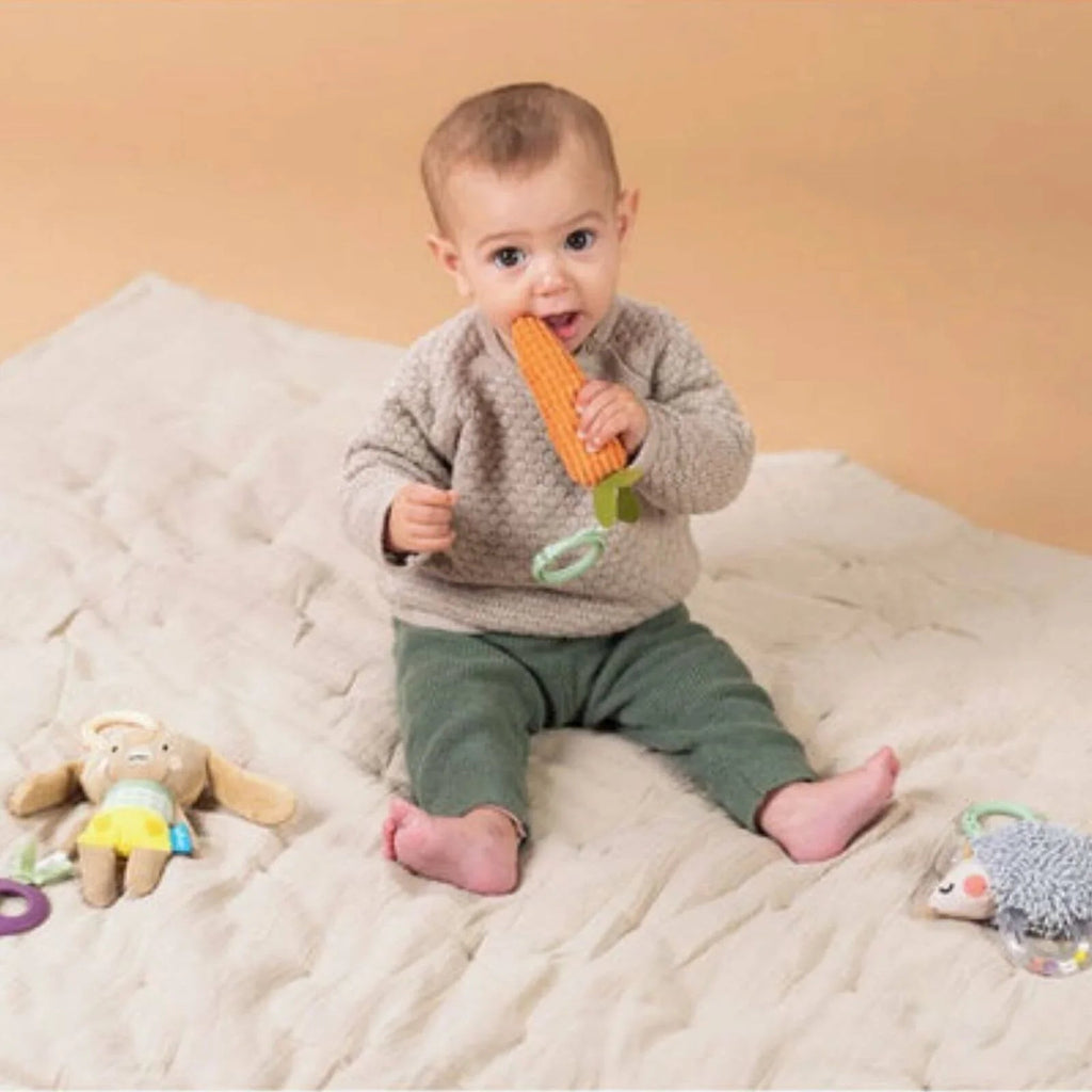 Taf Toys Activity Toys Kit - Hedgehog, Rabbit, Carrot - Baby&More