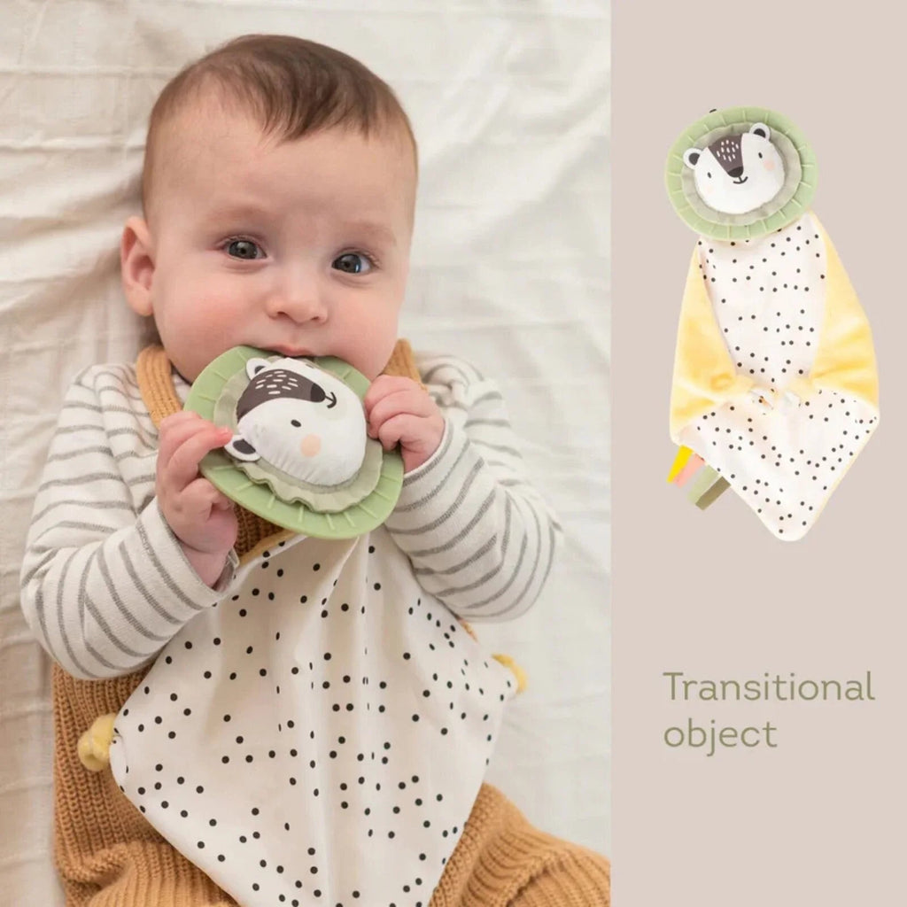 Taf Toys Newborn Play & Develop Toy Kit - Baby&More