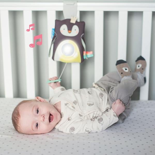 Taf Toys Prince The Penguin Cot Toy and Soother - Baby&More