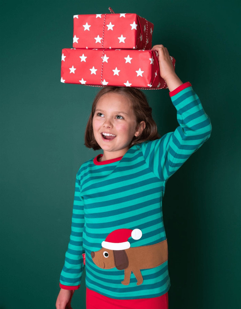 Toby Tiger Organic Applique Long - Sleeved T-Shirt - Christmas Saudage Dog - Baby&More