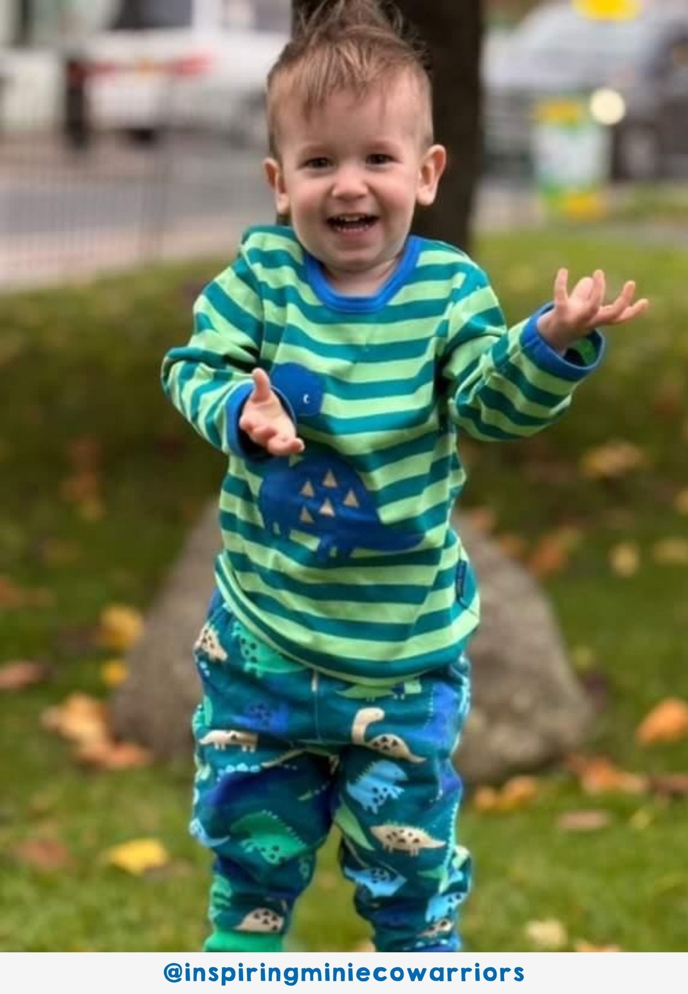 Toby Tiger Organic Applique Long - Sleeved T-Shirt - Green Tonal Dinosaur - Baby&More