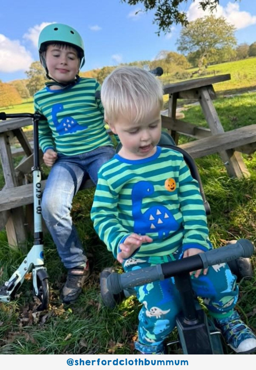 Toby Tiger Organic Applique Long - Sleeved T-Shirt - Green Tonal Dinosaur - Baby&More