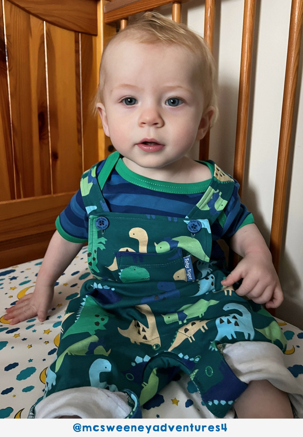 Toby Tiger Organic Dungarees - Tonal Dinosaur Print - Baby&More