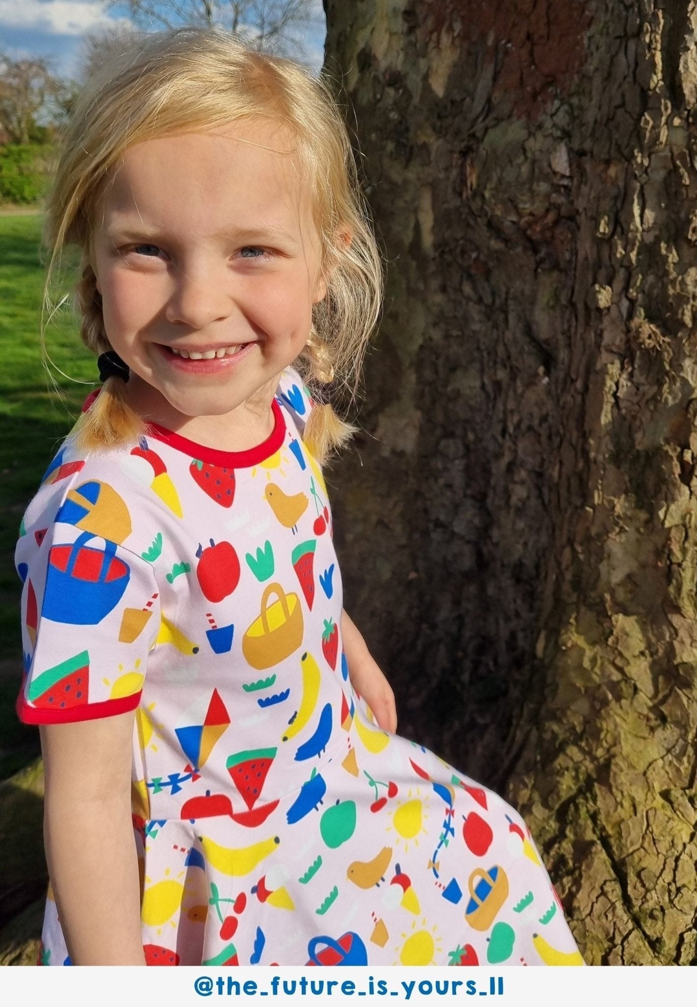 Toby Tiger Organic Short Sleeved Skater Dress - Picnic Print - Baby&More