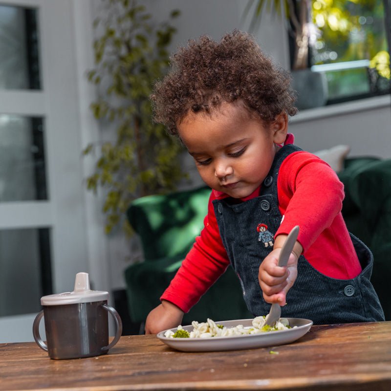 Vital Baby Nourish Perfectly Simple Plates - 5 Pack - Baby&More