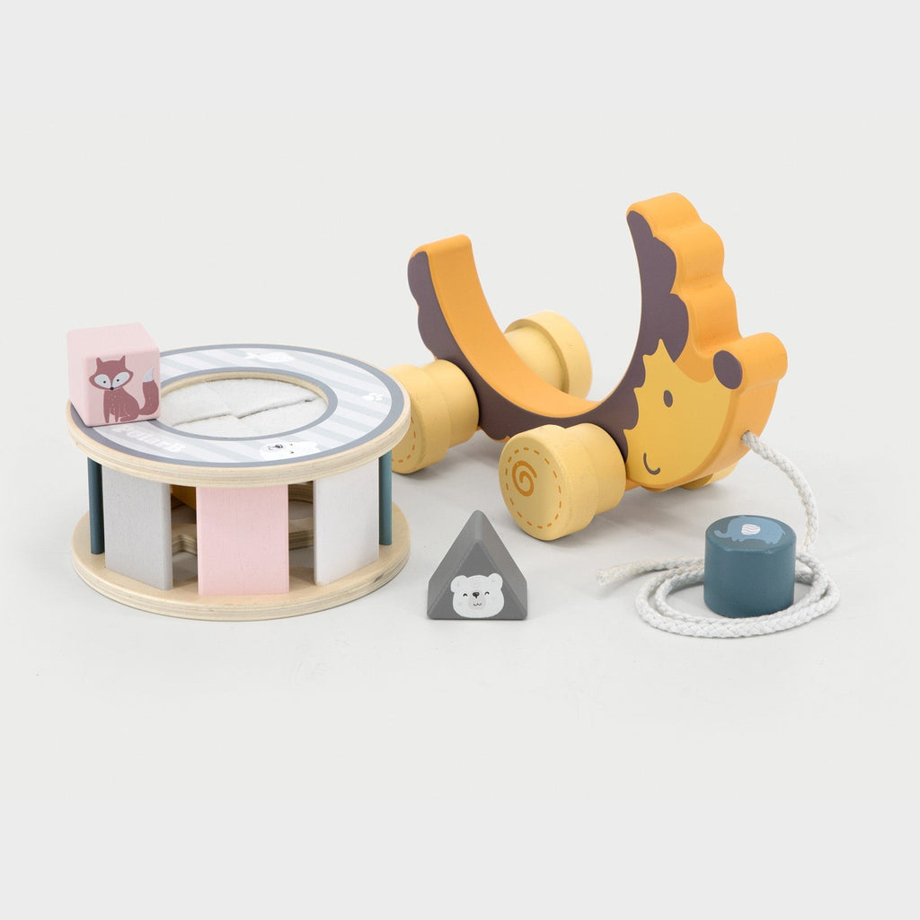 Wooden Hedgehog Sorting Wheel - Baby&More