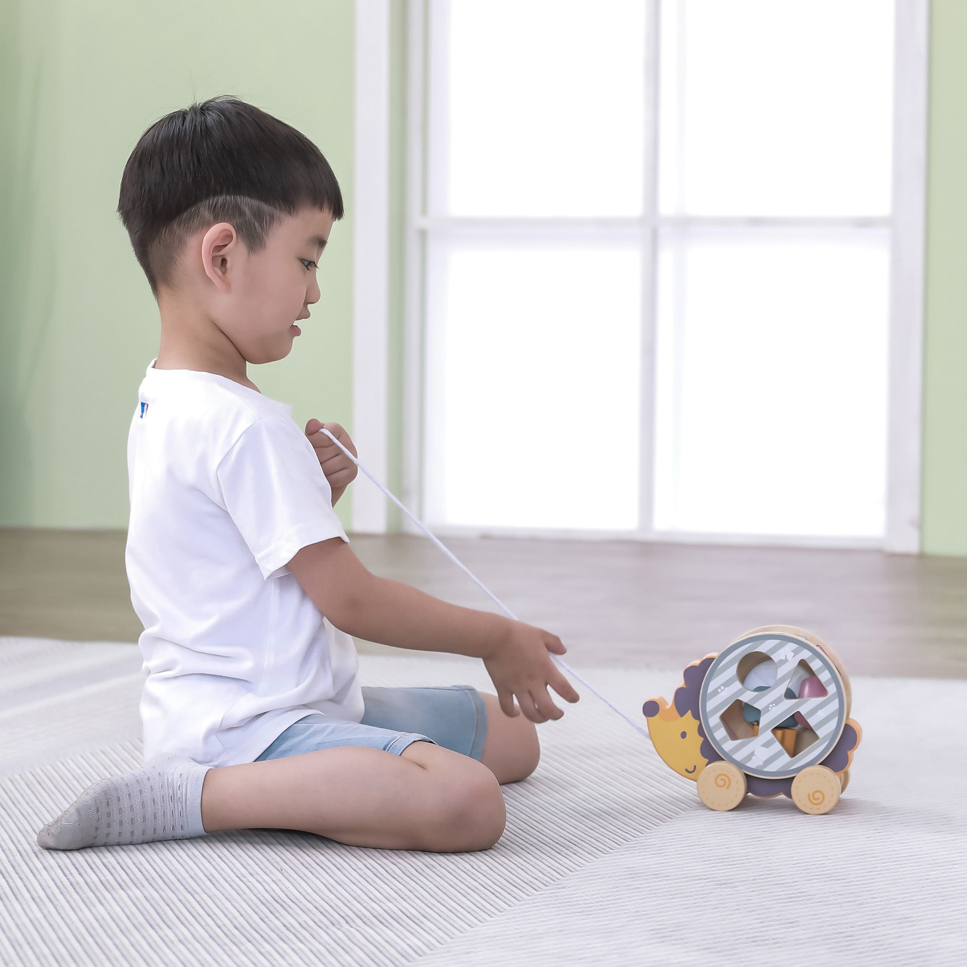 Wooden Hedgehog Sorting Wheel - Baby&More