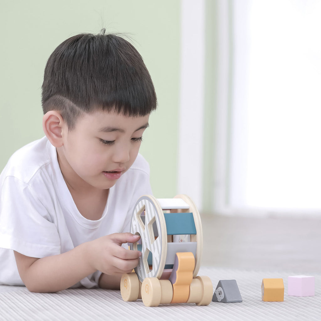 Wooden Hedgehog Sorting Wheel - Baby&More