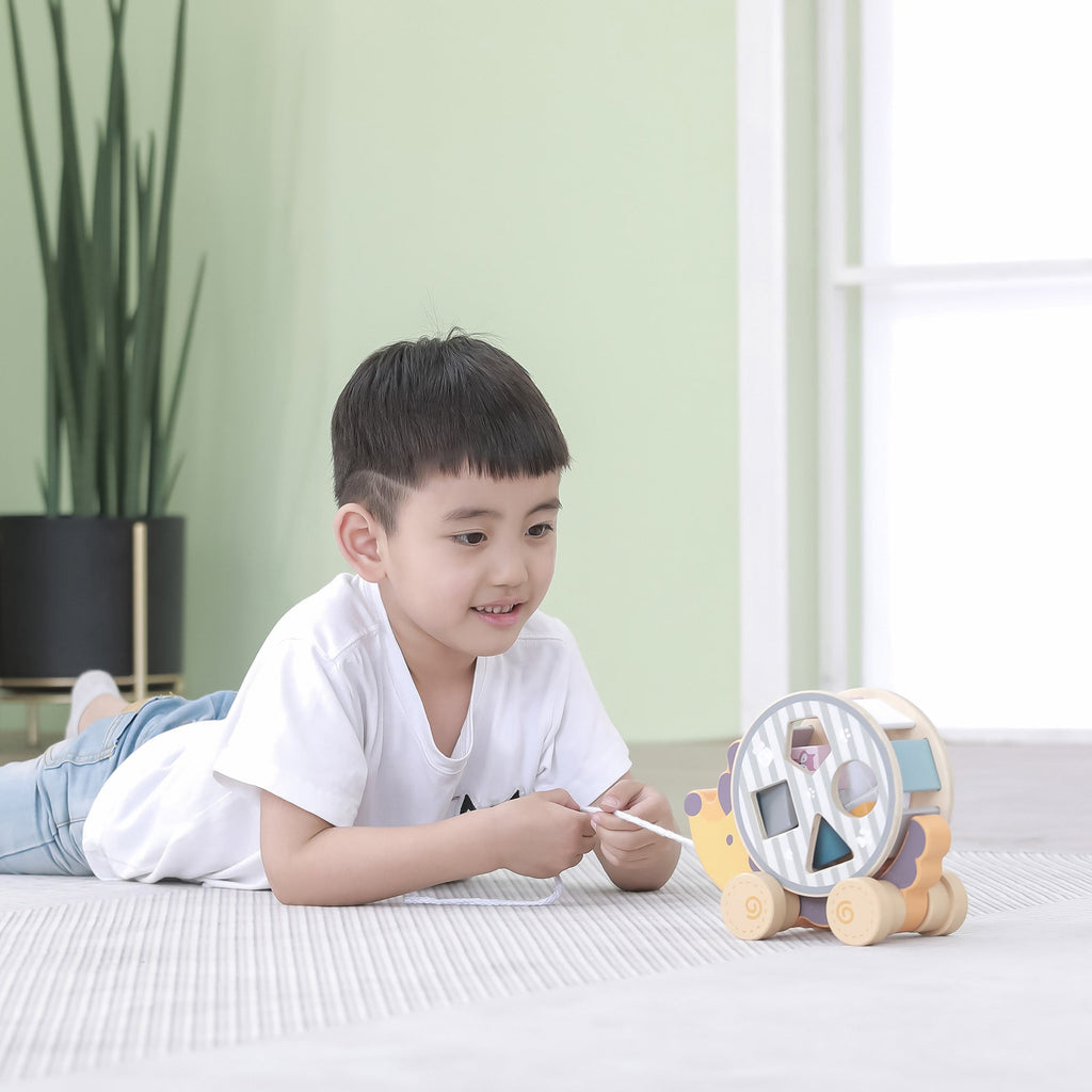 Wooden Hedgehog Sorting Wheel - Baby&More