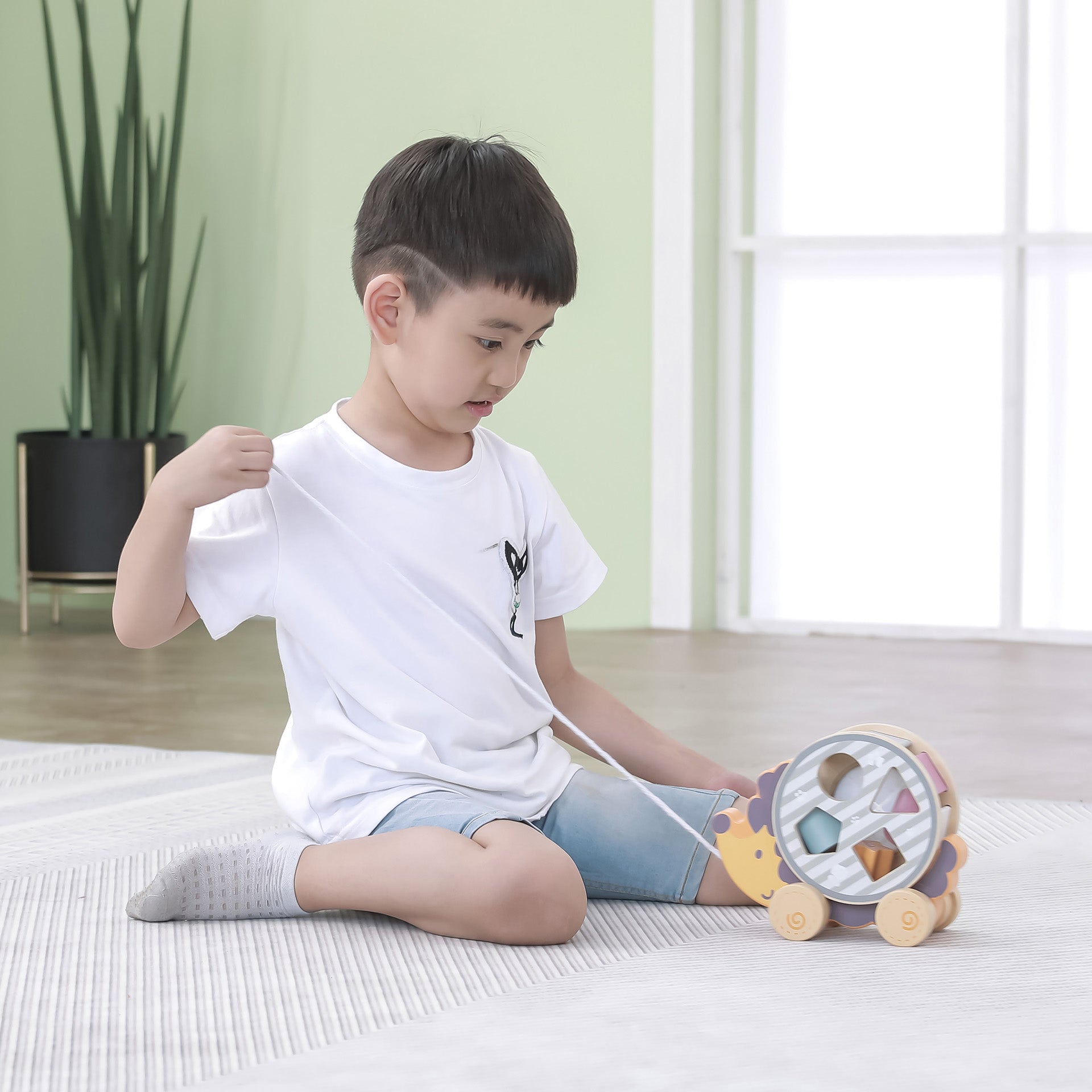 Wooden Hedgehog Sorting Wheel - Baby&More