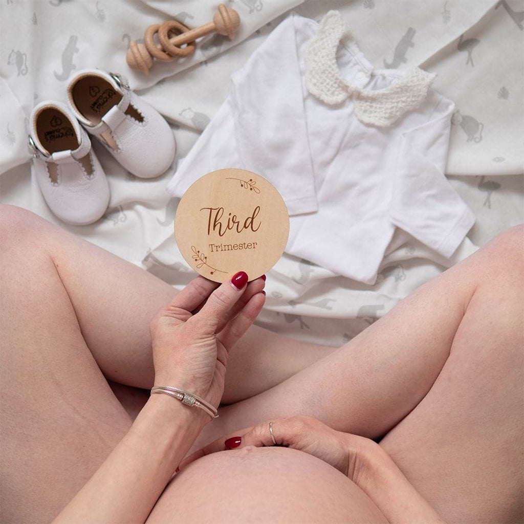 Priya & Peanut Wooden Pregnancy Milestone Disc Set