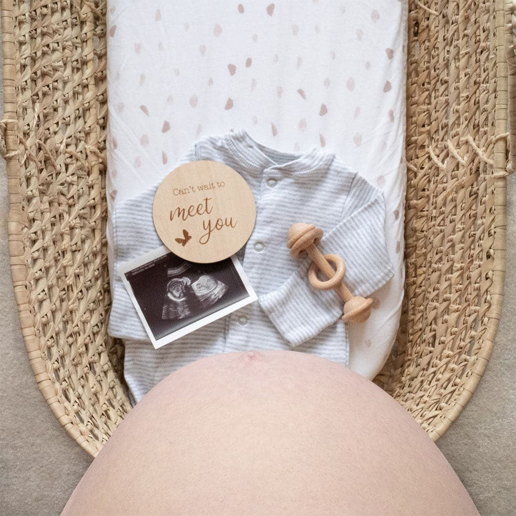 Priya & Peanut Wooden Pregnancy Milestone Disc Set