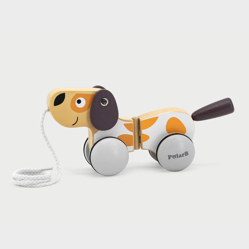 Wooden Pull Along Puppy - Baby&More