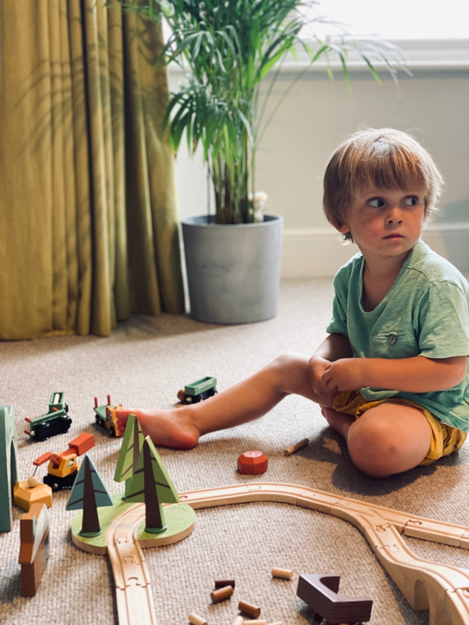 Wooden Wild Pines Train Set - Baby&More