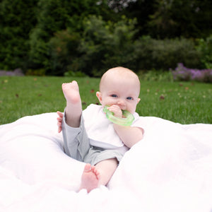 Cooling Fruit Teether - Strawberry, Grape or Apple