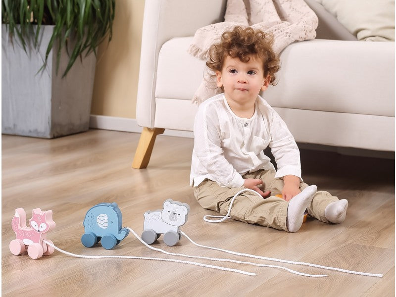 Pull Along Wooden Animal Toys - Hedgehog, Zebra or Polar Bear