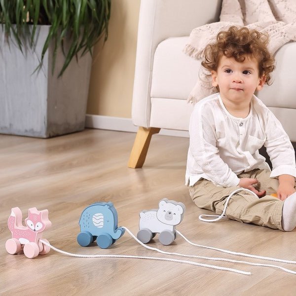 Pull Along Wooden Animal Toys - Hedgehog, Zebra or Polar Bear - Baby&More